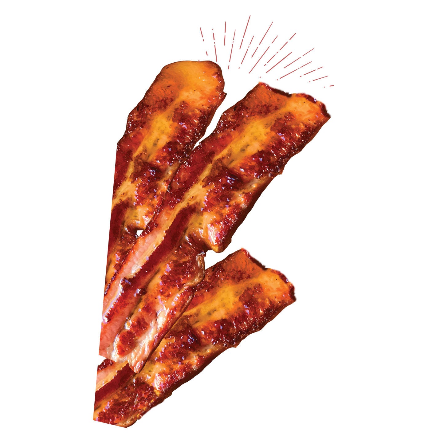 Nylabone Gourmet Style Strong Chew Wishbone Bacon ( S & L)