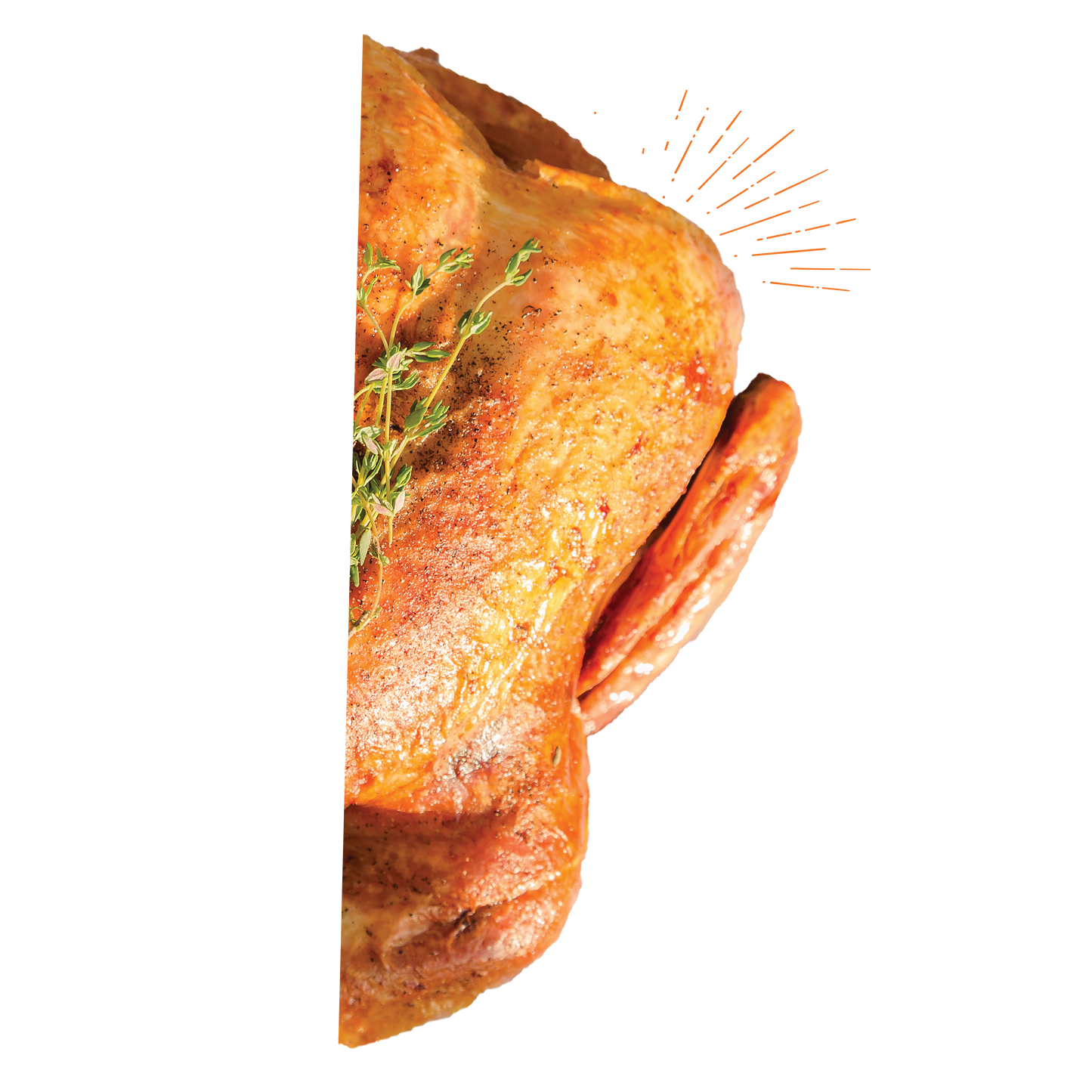 Nylabone Gourmet Style Strong Chew Wishbone Chicken (Größe S & L)