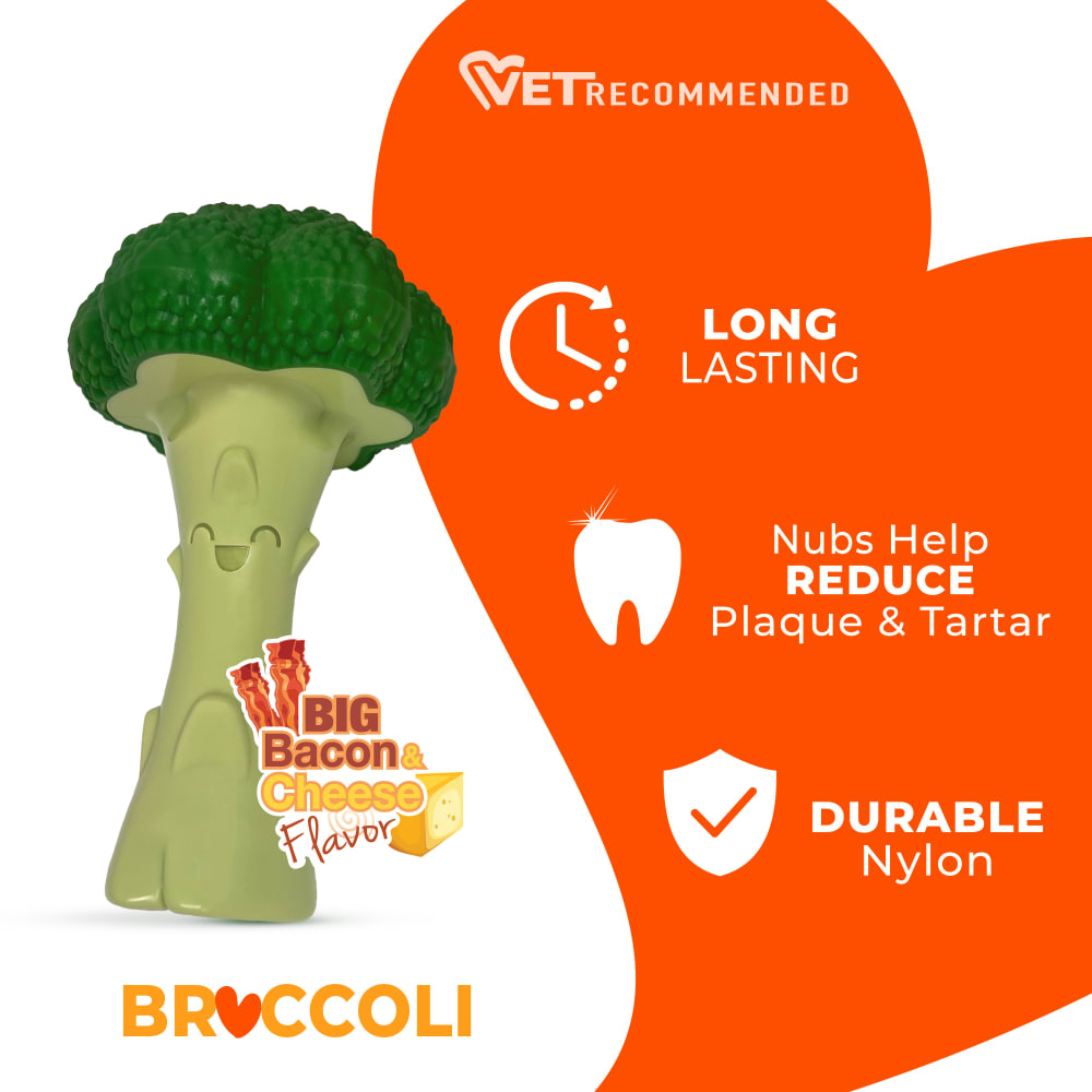 Nylabone Power Chew Broccoli – für starke & extreme Kauer L