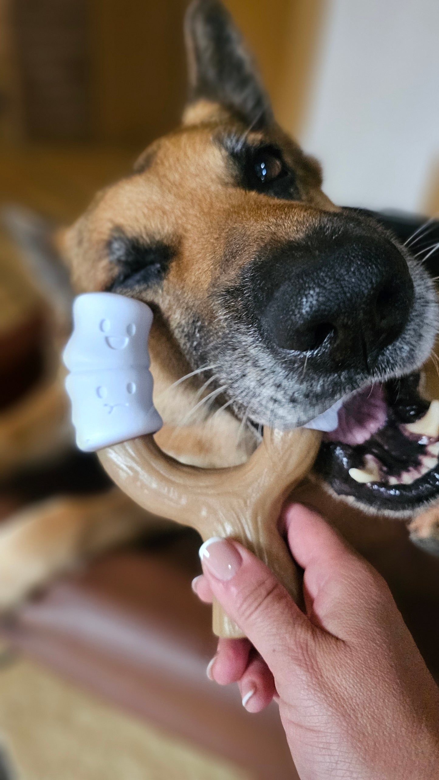 Nylabone Strong Chew Marshmallow Stick (L)