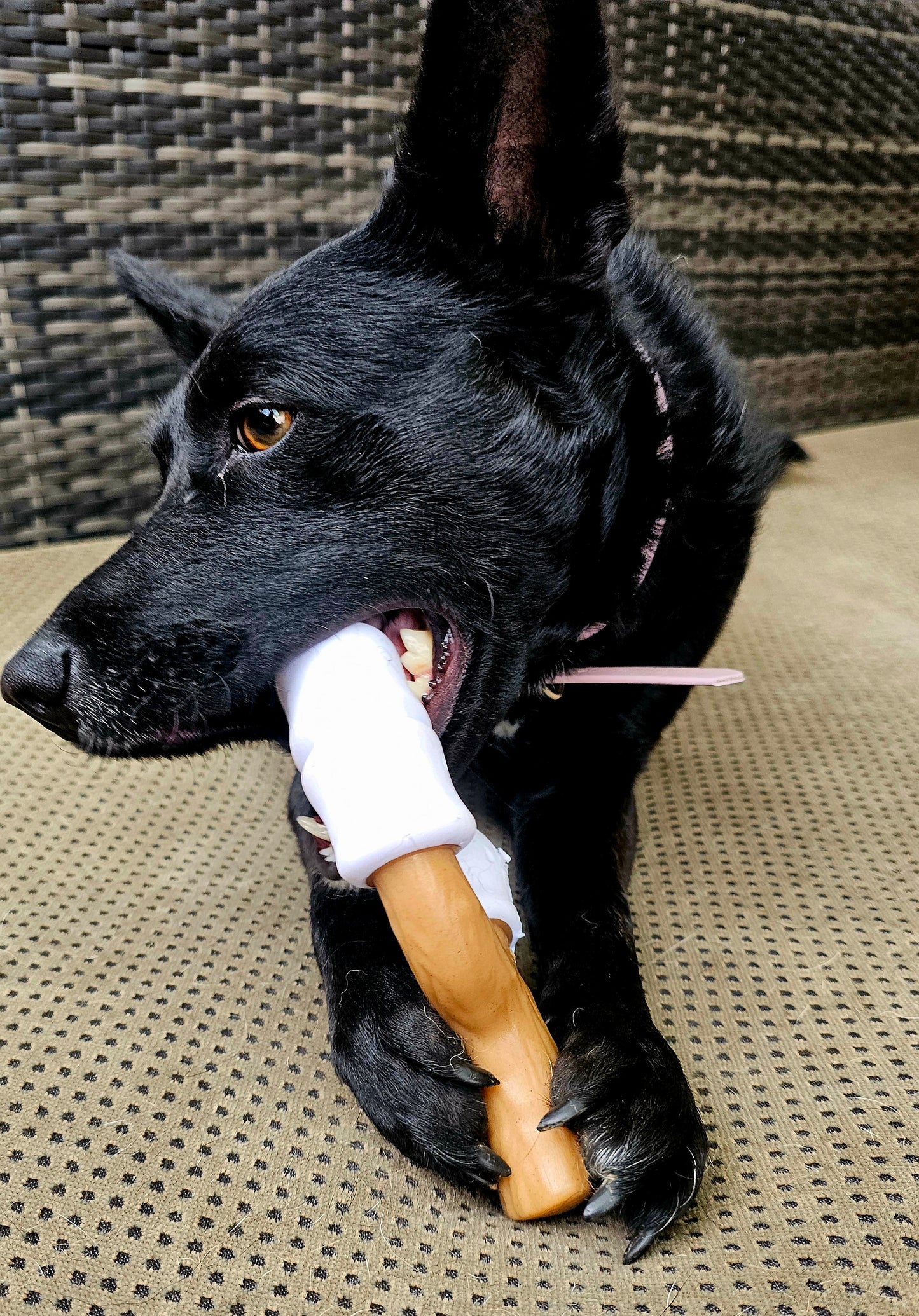 Nylabone Strong Chew Marshmallow Stick (L)