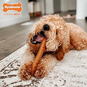Nylabone Power Chew Baguette – für starke & extreme Kauer L