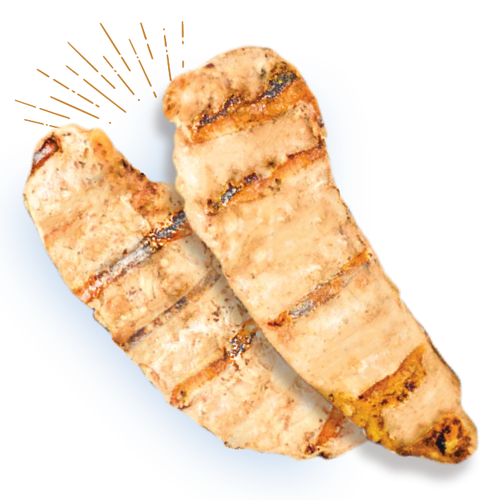 Nylabone Puppy Gourmet Style Strong Chew Stick Chicken M