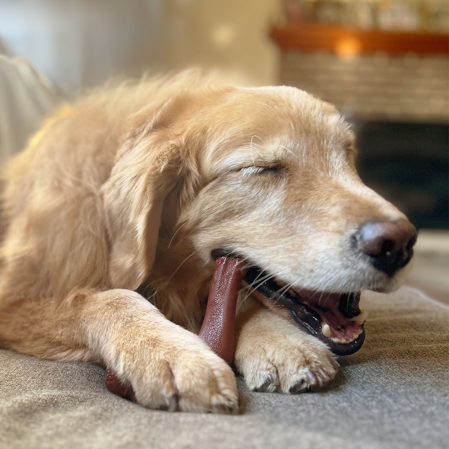 Nylabone Extreme Chew Elk Alternative Curved Arch Bone (XL)