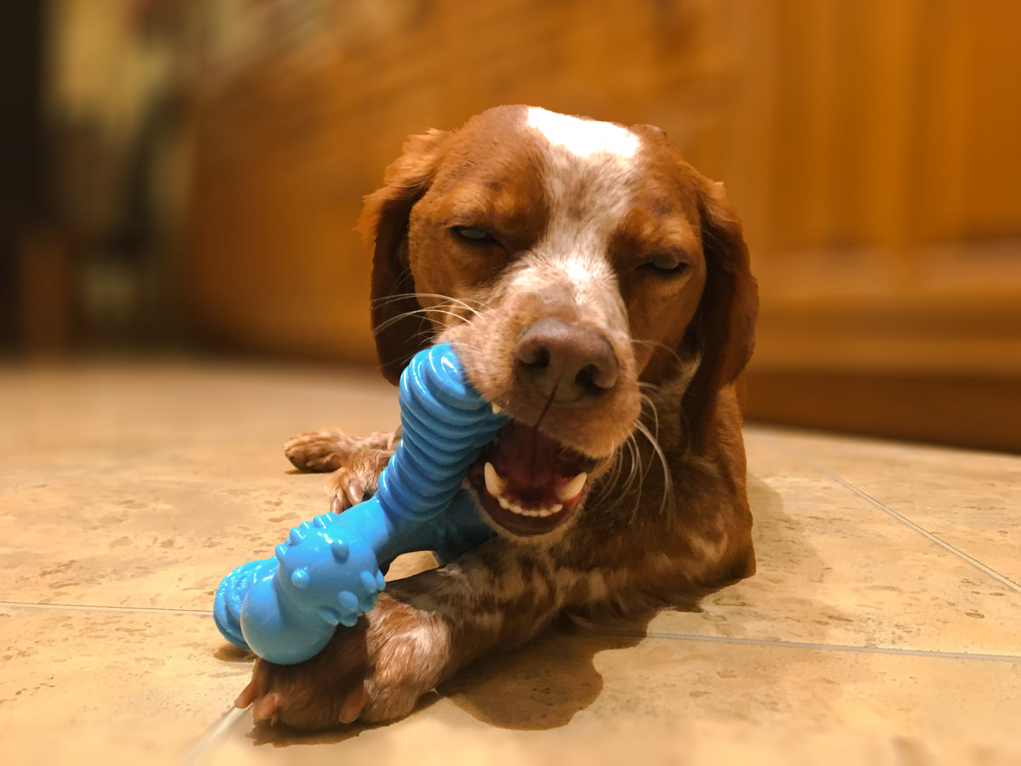 Nylabone Power Chew Comfort Hold X Bone – für starke & extreme Kauer (XS & L)
