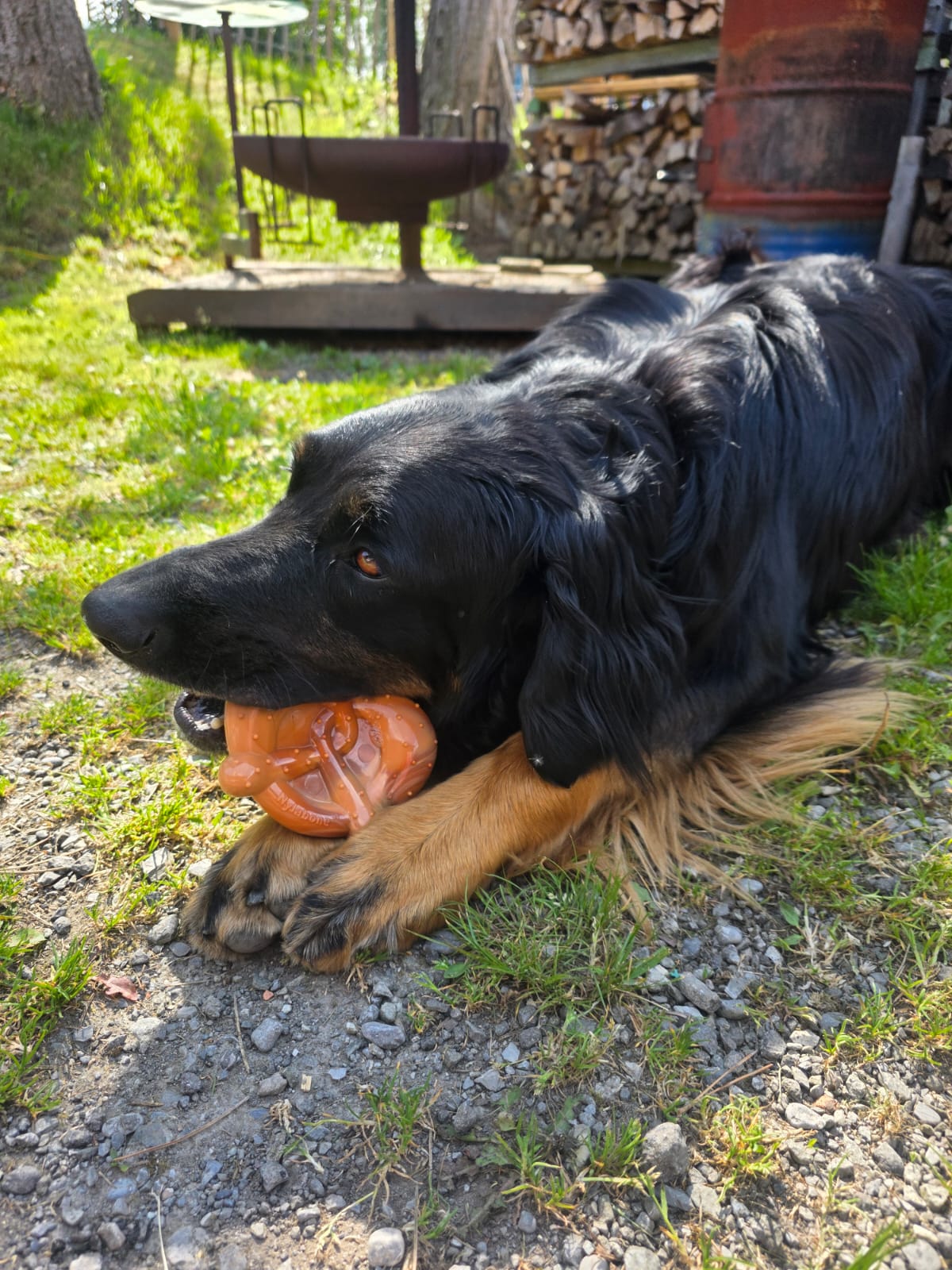 Nylabone Power Chew Pretzel (Brezel)