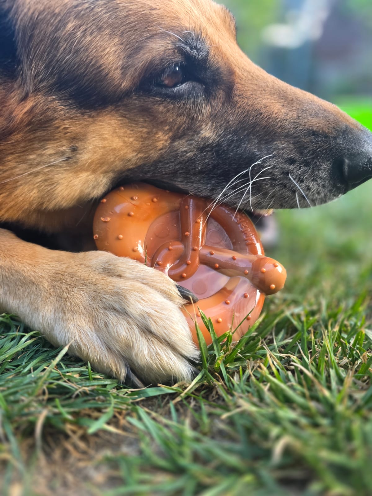 Nylabone Power Chew Pretzel (Brezel)