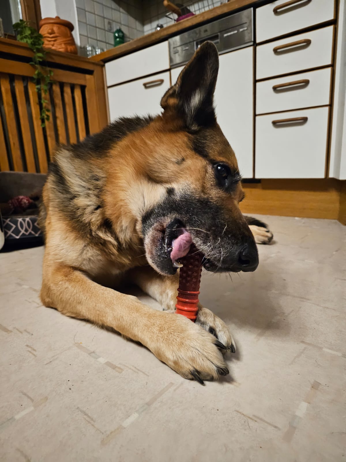Nylabone Flavor Frenzy Power Chew – Beef Jerky – Kauspielzeug für starke Kauer (S, M, L, XL)