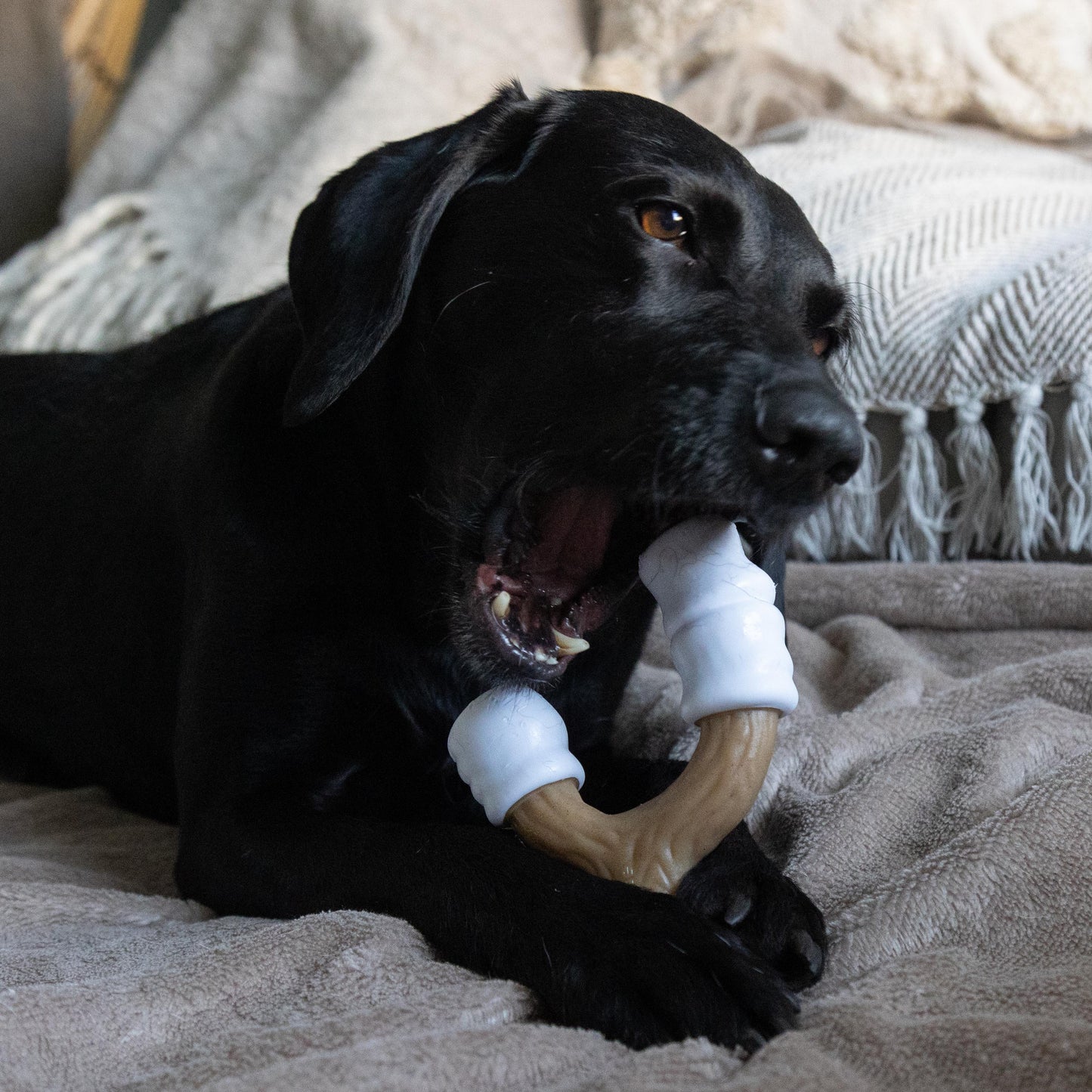 Nylabone Strong Chew Marshmallow Stick (L)