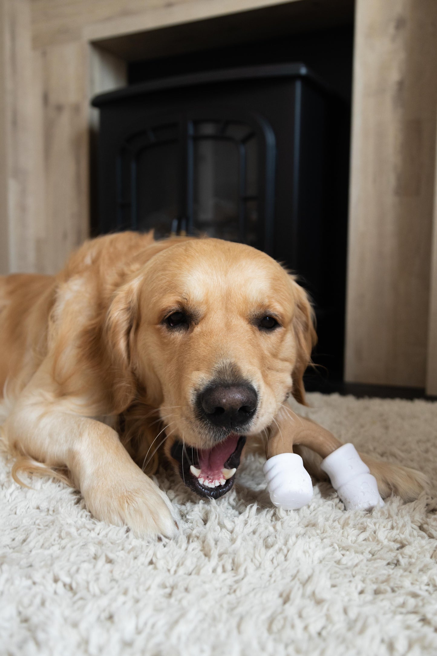 Nylabone Strong Chew Marshmallow Stick (L)